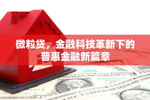 新营微粒贷，金融科技革新下的普惠金融新篇章