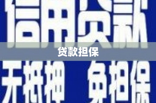新营贷款担保