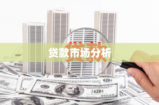 新营贷款市场分析
