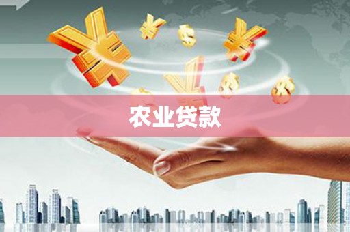 新营农业贷款