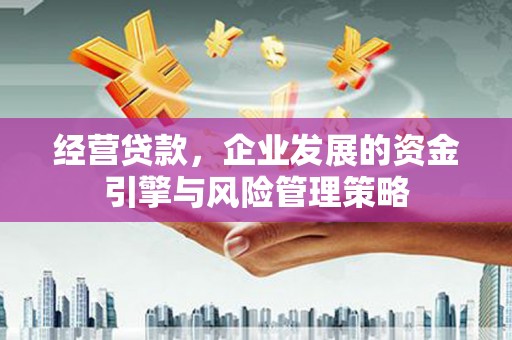 新营经营贷款，企业发展的资金引擎与风险管理策略