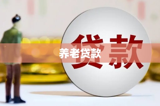 新营养老贷款
