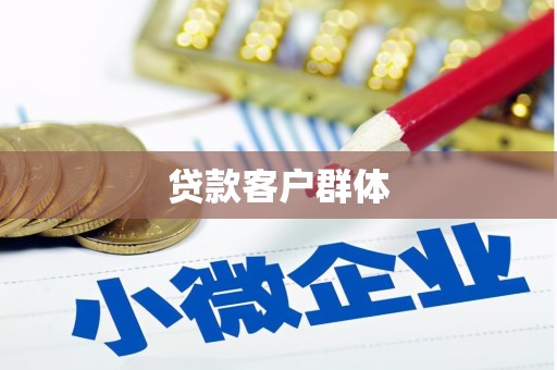 新营贷款客户群体