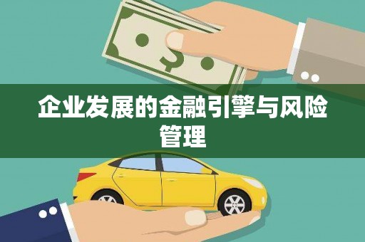 新营企业发展的金融引擎与风险管理