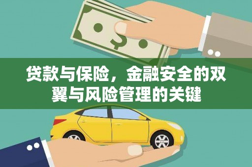 新营贷款与保险，金融安全的双翼与风险管理的关键