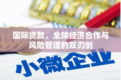 新营国际贷款，全球经济合作与风险管理的双刃剑
