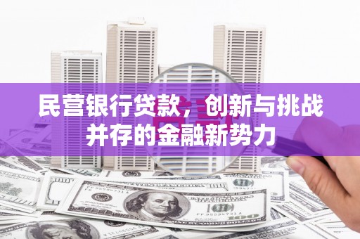 新营民营银行贷款，创新与挑战并存的金融新势力