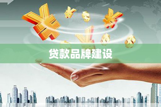 新营贷款品牌建设