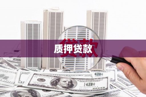 新营质押贷款