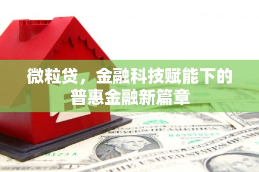 新营微粒贷，金融科技赋能下的普惠金融新篇章
