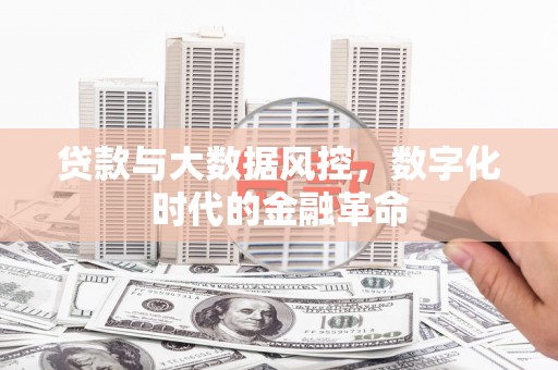 新营贷款与大数据风控，数字化时代的金融革命