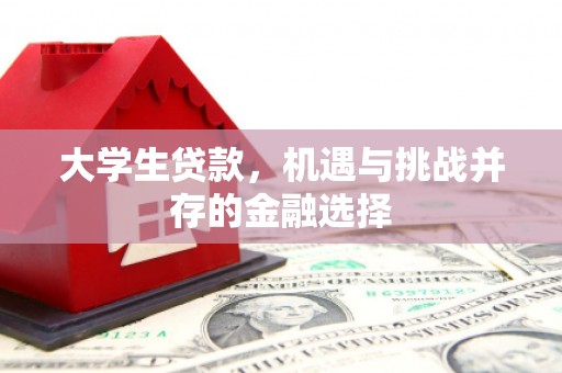 新营大学生贷款，机遇与挑战并存的金融选择