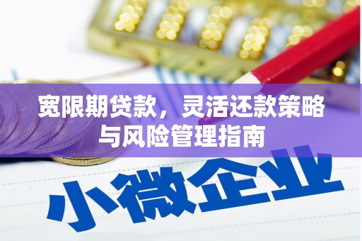 新营宽限期贷款，灵活还款策略与风险管理指南