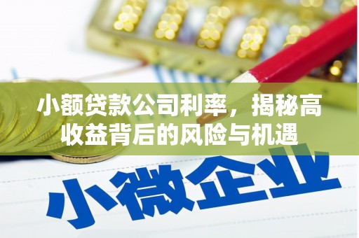 新营小额贷款公司利率，揭秘高收益背后的风险与机遇
