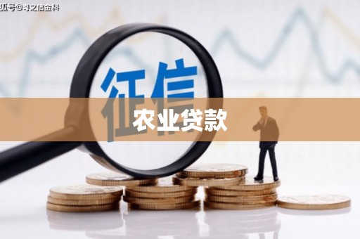新营农业贷款