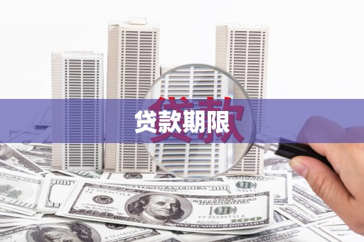 新营贷款期限