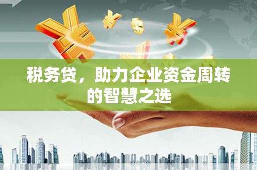新营税务贷，助力企业资金周转的智慧之选