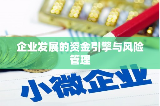 新营企业发展的资金引擎与风险管理