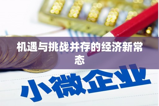 新营机遇与挑战并存的经济新常态