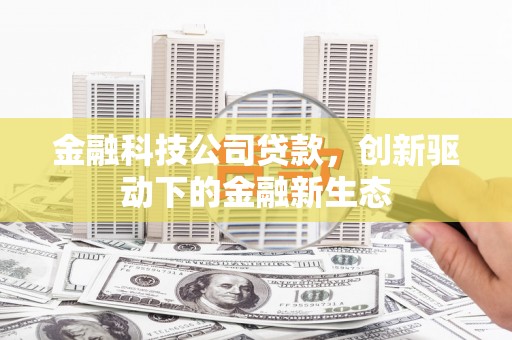 新营金融科技公司贷款，创新驱动下的金融新生态