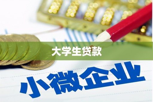 新营大学生贷款