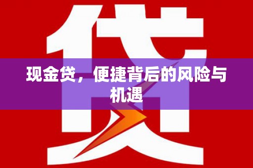 新营现金贷，便捷背后的风险与机遇