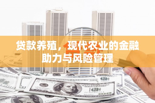 新营贷款养殖，现代农业的金融助力与风险管理