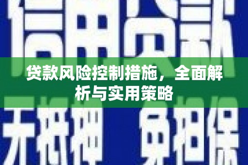 新营贷款风险控制措施，全面解析与实用策略