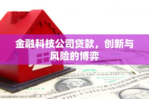 新营金融科技公司贷款，创新与风险的博弈