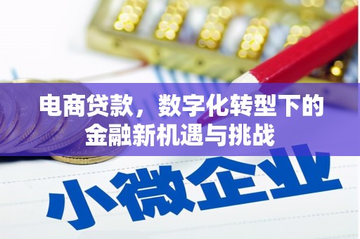 新营电商贷款，数字化转型下的金融新机遇与挑战