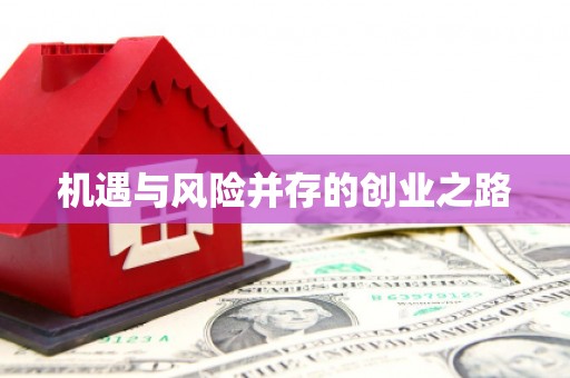 新营机遇与风险并存的创业之路