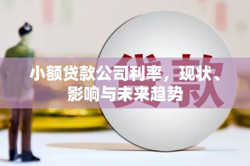 新营小额贷款公司利率，现状、影响与未来趋势