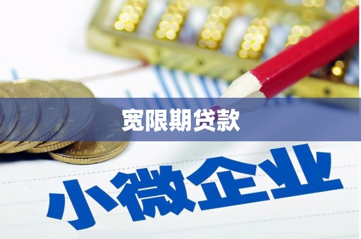 新营宽限期贷款