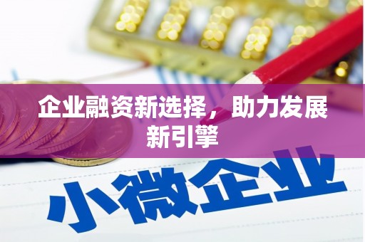 新营企业融资新选择，助力发展新引擎