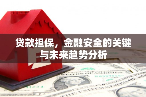 新营贷款担保，金融安全的关键与未来趋势分析