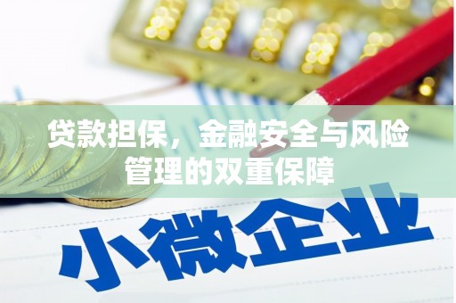 新营贷款担保，金融安全与风险管理的双重保障