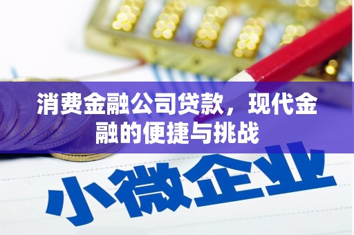 新营消费金融公司贷款，现代金融的便捷与挑战