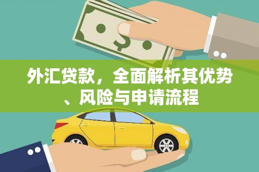 新营外汇贷款，全面解析其优势、风险与申请流程