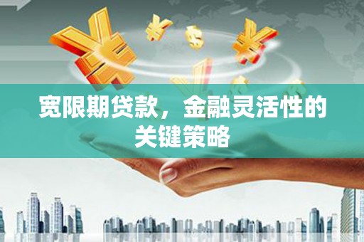 新营宽限期贷款，金融灵活性的关键策略