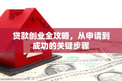 新营贷款创业全攻略，从申请到成功的关键步骤