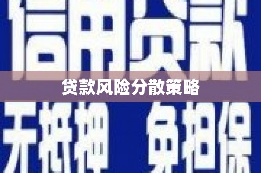 新营贷款风险分散策略