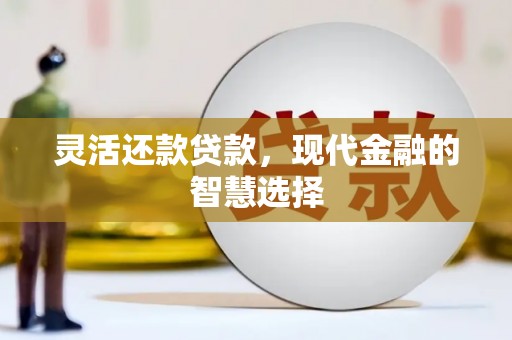 新营灵活还款贷款，现代金融的智慧选择