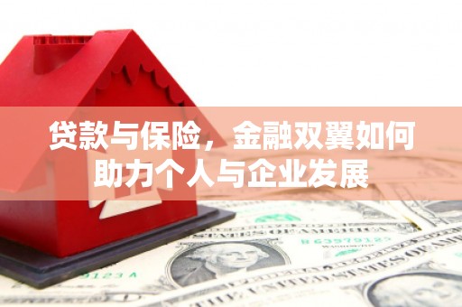 新营贷款与保险，金融双翼如何助力个人与企业发展