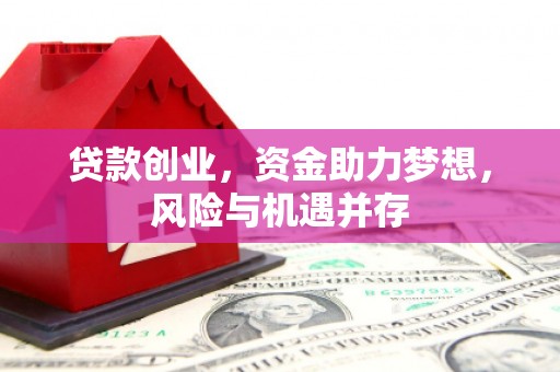新营贷款创业，资金助力梦想，风险与机遇并存