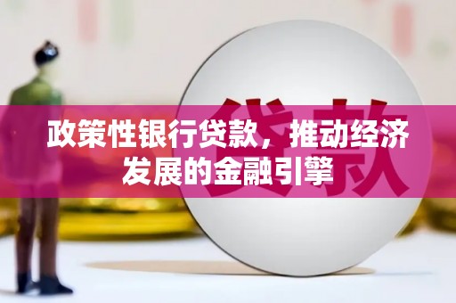 新营政策性银行贷款，推动经济发展的金融引擎