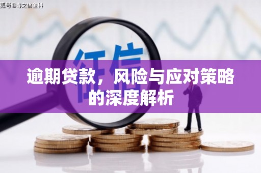 新营逾期贷款，风险与应对策略的深度解析