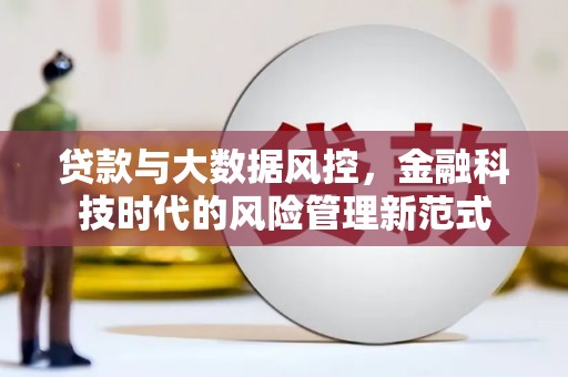 新营贷款与大数据风控，金融科技时代的风险管理新范式