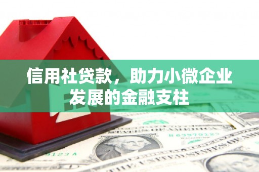 新营信用社贷款，助力小微企业发展的金融支柱
