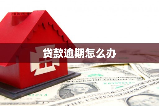 新营贷款逾期怎么办