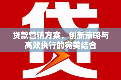 新营贷款营销方案，创新策略与高效执行的完美结合